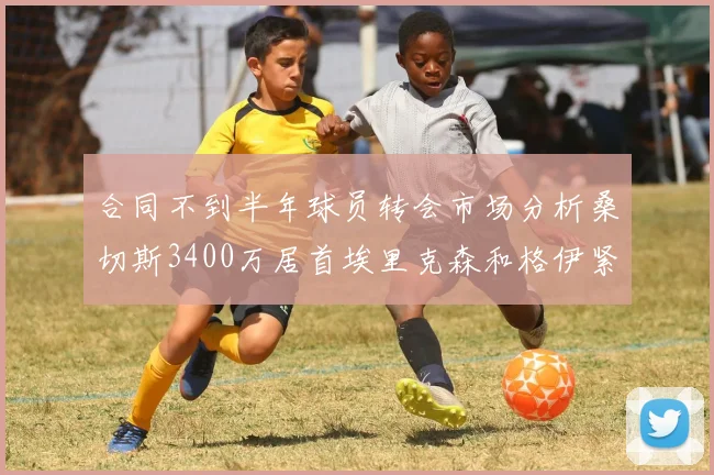 合同不到半年球员转会市场分析桑切斯3400万居首埃里克森和格伊紧随其后