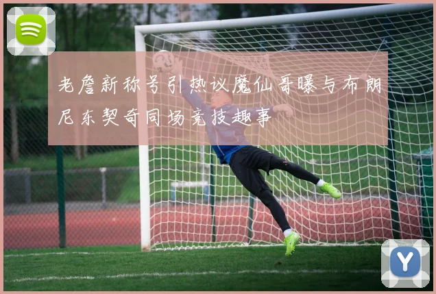 老詹新称号引热议魔仙哥曝与布朗尼东契奇同场竞技趣事